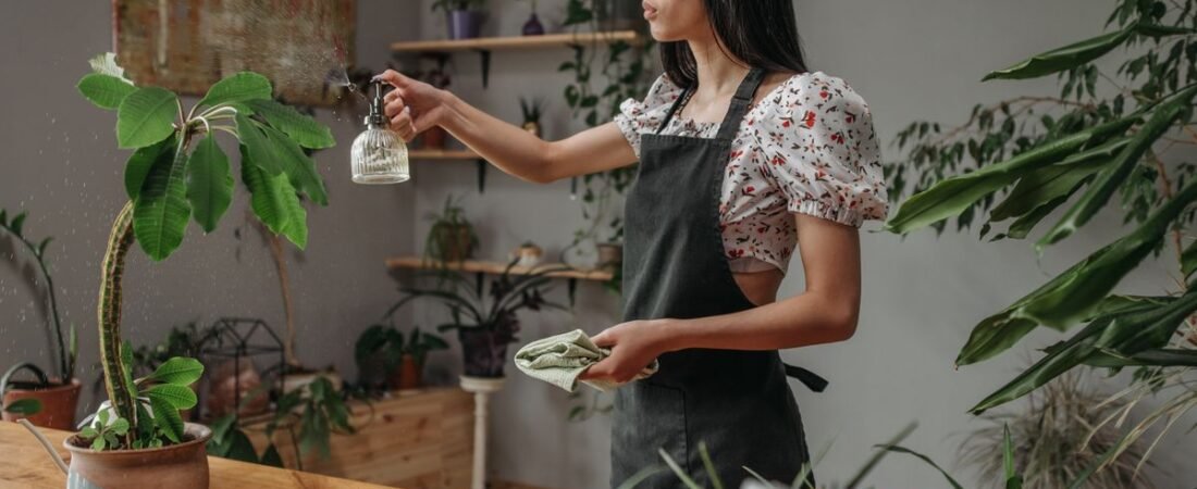 How to Start Hydroponics in a Small Apartment (Even With No Window)