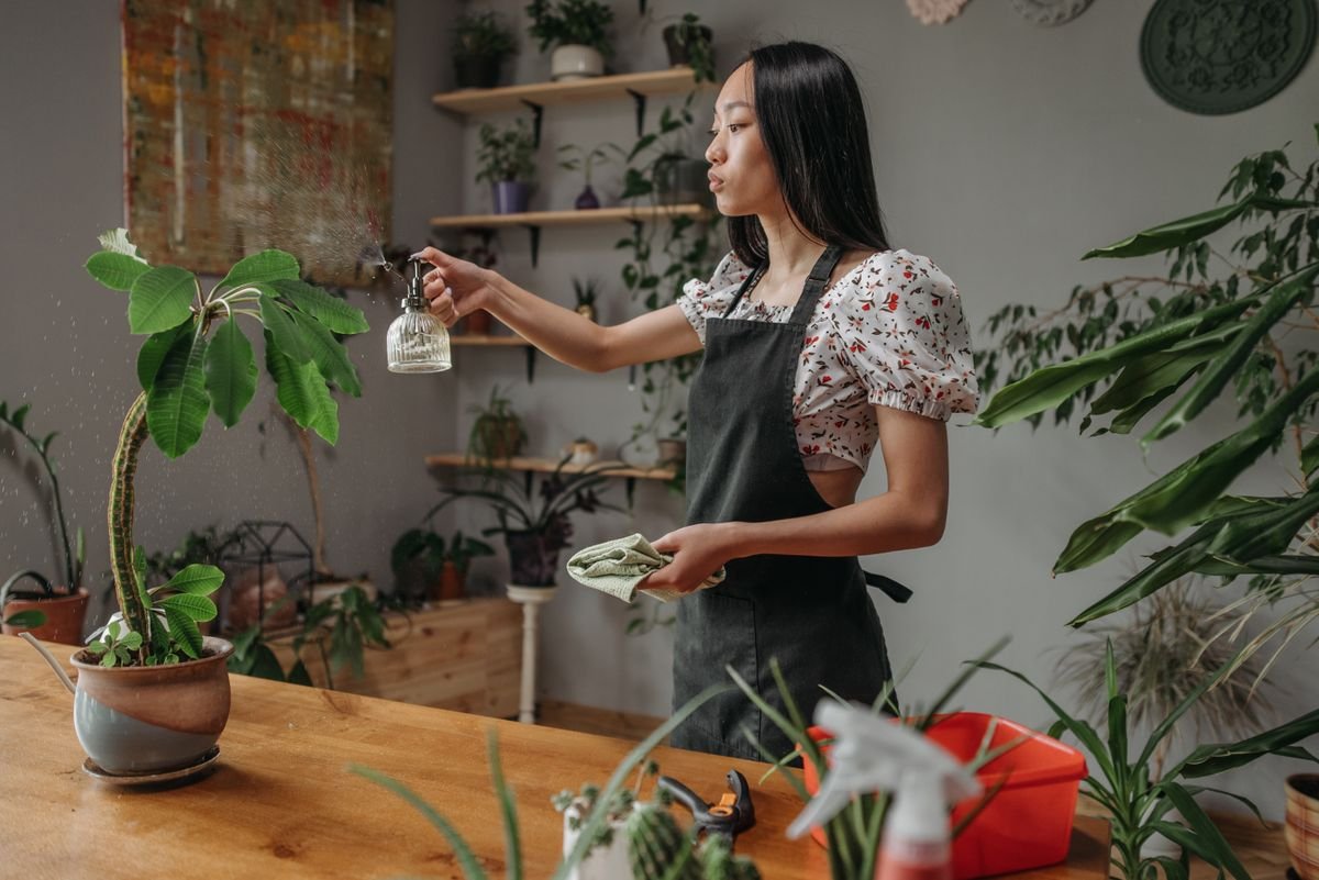 How to Start Hydroponics in a Small Apartment (Even With No Window)